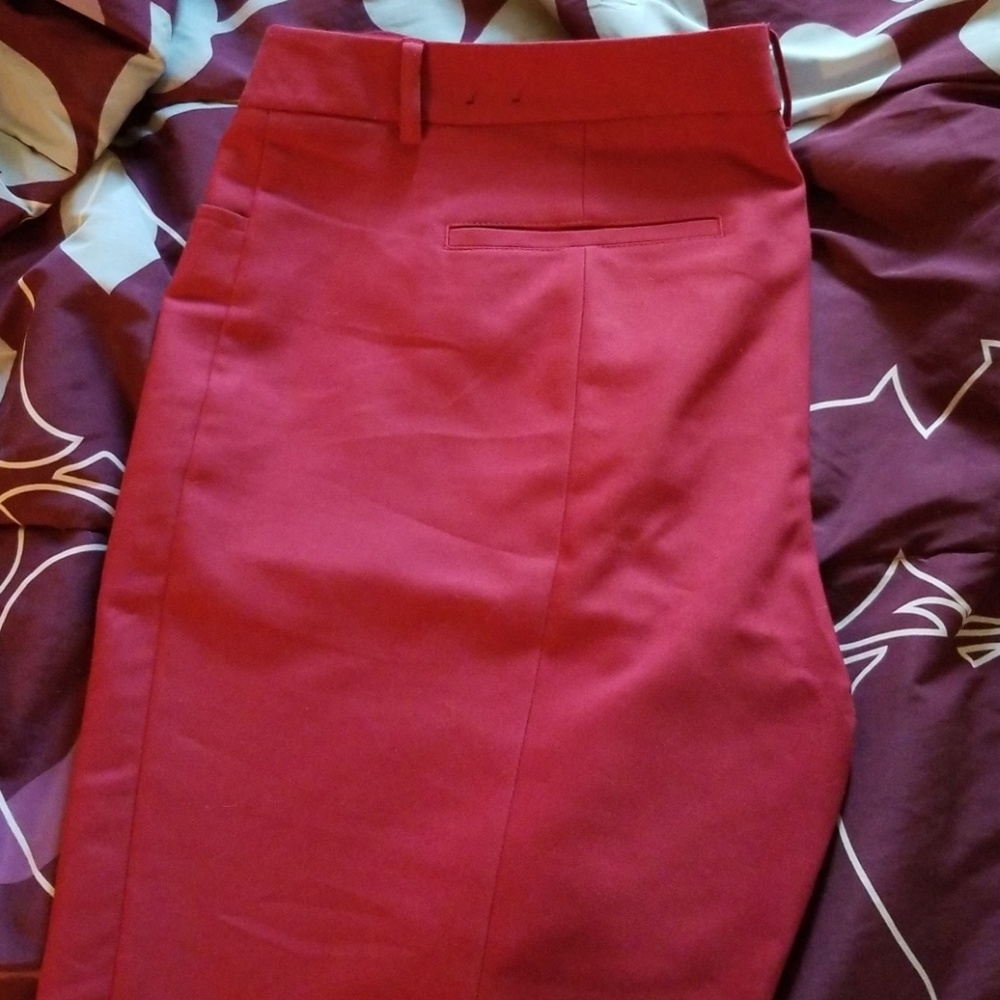 Express pants, size 14 long